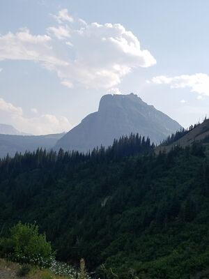 20170801_180317.jpg