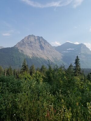 20170801_180653.jpg