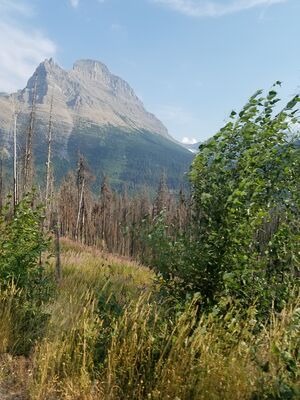 20170801_180830.jpg