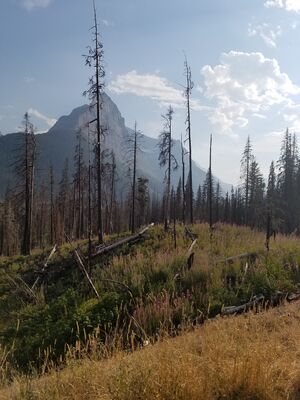 20170801_180832.jpg