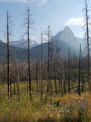 20170801_180838.jpg