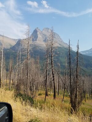 20170801_180849.jpg