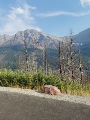 20170801_181030.jpg