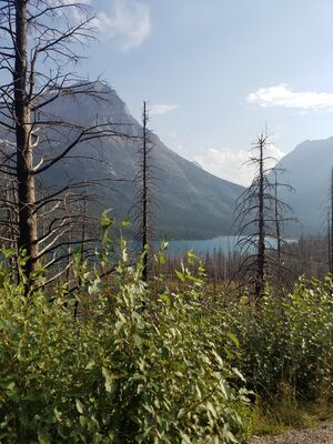 20170801_181038.jpg