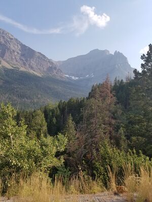 20170801_181138.jpg