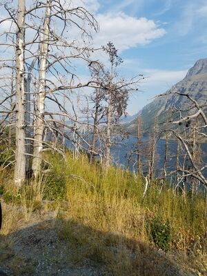 20170801_181303.jpg