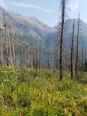 20170801_181324.jpg