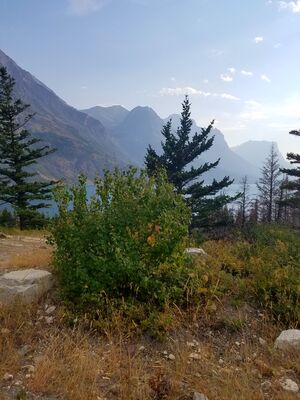 20170801_181607.jpg