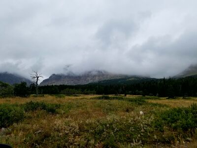 20170802_132403.jpg