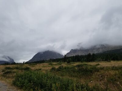 20170802_132406.jpg