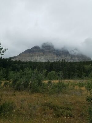 20170802_132628.jpg