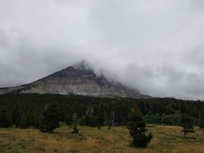20170802_132718.jpg