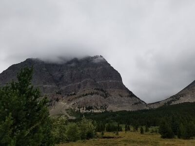 20170802_132722.jpg