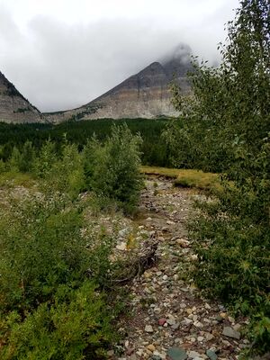 20170802_132828.jpg