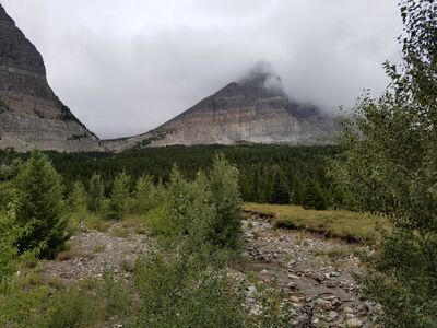 20170802_132920.jpg
