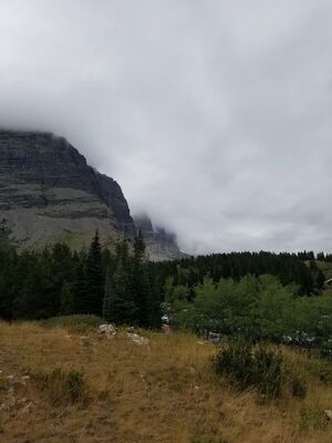 20170802_134208.jpg