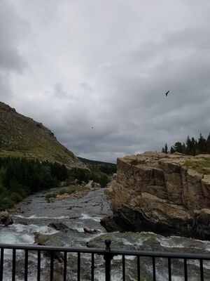20170802_143102.jpg