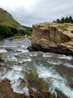 20170802_143115.jpg