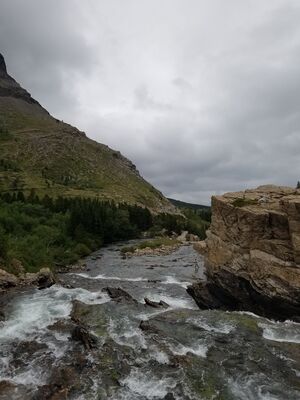 20170802_143118.jpg