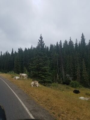 20170802_161032.jpg
