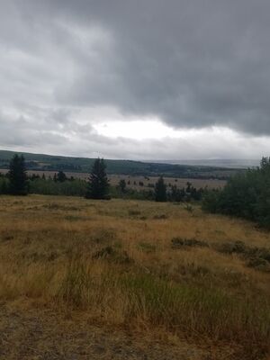 20170802_161625.jpg