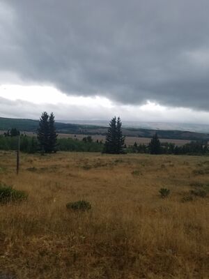 20170802_161627.jpg