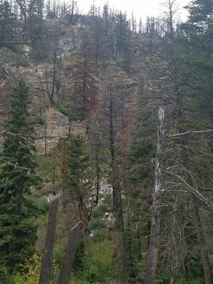 20170802_192312.jpg