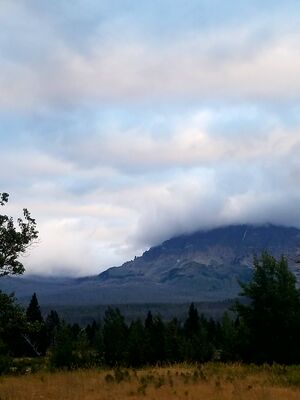 20170802_202547.jpg