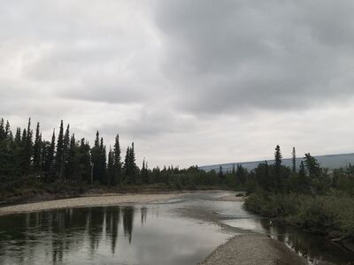 20170802_203921.jpg