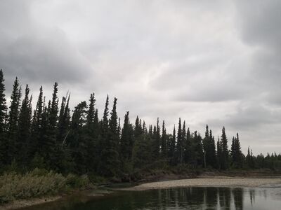 20170802_203928.jpg