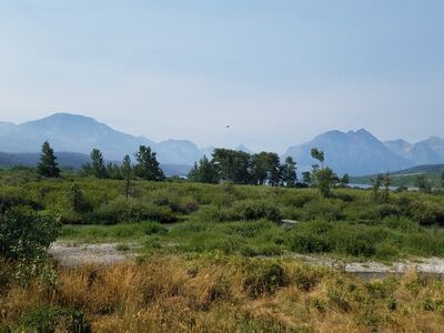 20170803_102816.jpg