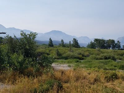 20170803_102835.jpg