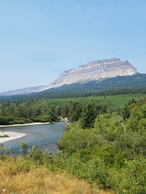 20170803_102847.jpg