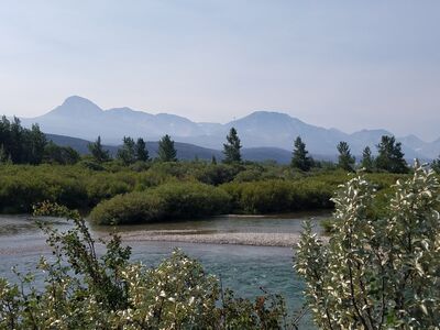 20170803_102913.jpg