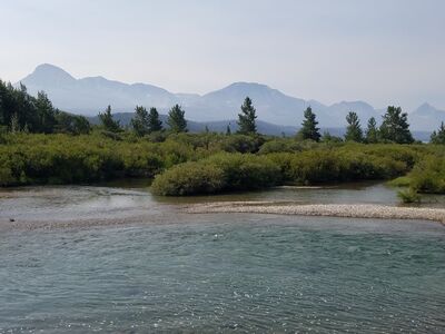 20170803_102940.jpg
