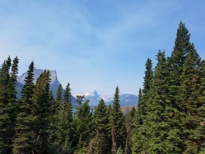 20170803_105506.jpg