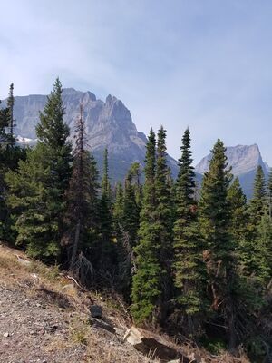 20170803_105527.jpg