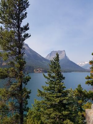 20170803_105829.jpg