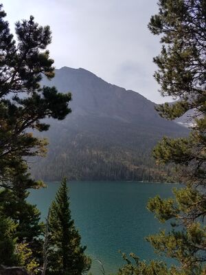 20170803_105848.jpg