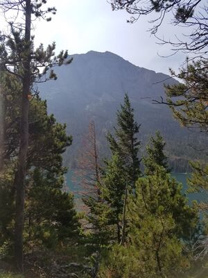 20170803_110105.jpg
