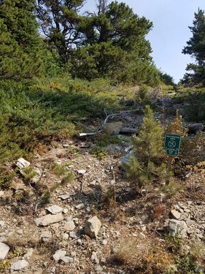 20170803_110140.jpg