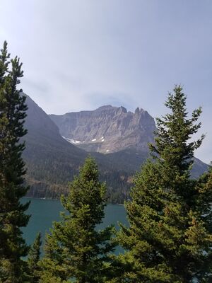 20170803_110148.jpg