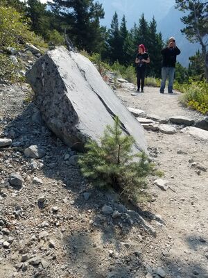 20170803_110221.jpg