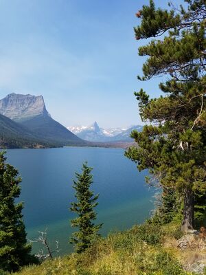20170803_110245.jpg