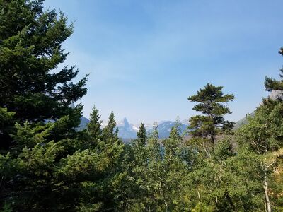 20170803_110357.jpg