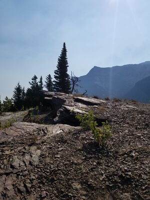 20170803_110655.jpg