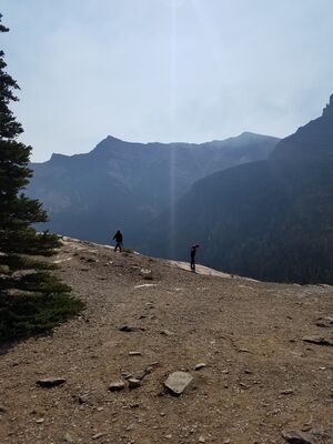 20170803_110730.jpg