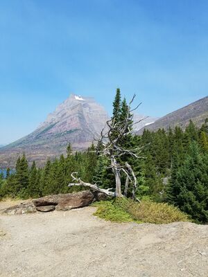 20170803_110801.jpg