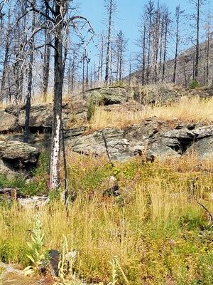 20170803_112413.jpg