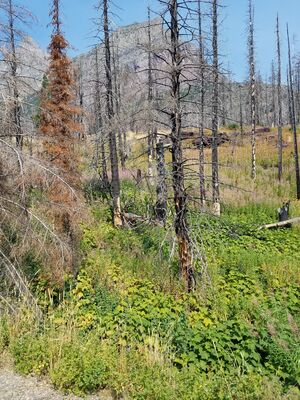 20170803_112546.jpg